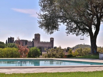Villa di 450 mq in vendita Via Del Forte, 1, Goito, Mantova, Lombardia