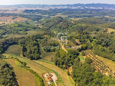 Rustico/Casale/Corte In Vendita A Casciana Terme Lari