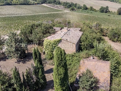 Splendid Ruin In Amidst The Vines Of Montepulciano