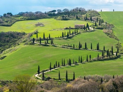 Splendida Villa con Piscina a Sfioro in Vendita a Monte San Savino