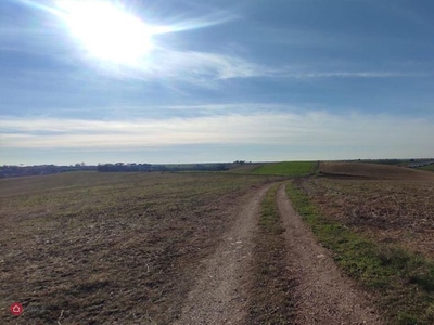 Terreno agricolo in Vendita in Via della Falcognana a Roma