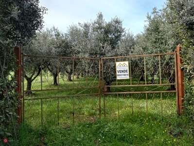 Terreno agricolo in Vendita in Via Pietrelcina a Roma