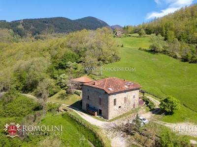 Tuscany Restored Country House For Sale In Tuscany, Foreste Casentinesi National Park