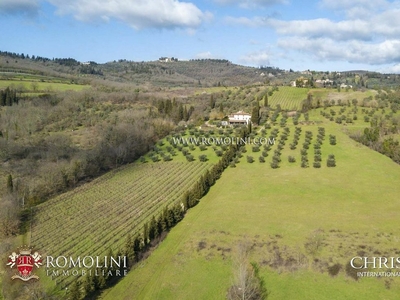 Tuscany Small Estate For Sale 30 Minutes From Florence