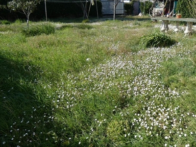 Villetta Bifamiliare In Vendita A Rosignano Marittimo(li) In Discreto Composto Da 15vani