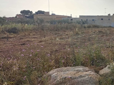 Terreno Agricolo nuovo in via x luglio snc, Petrosino