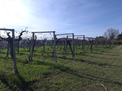 Terreno in vendita, Giulianova case di trento