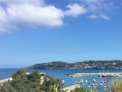 Alloggio a Forio con terrazza e giardino