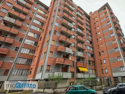 Appartamento arredato con terrazzo Mirafiori nord