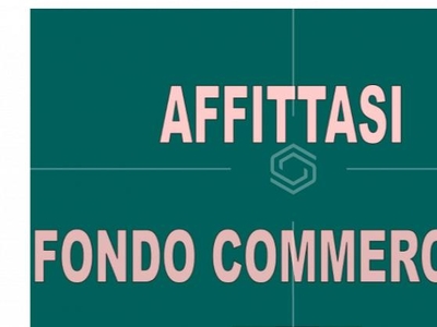 Attivit? commerciale in affitto/gestione a Pisa