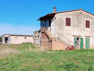 Rustico / Casale in vendita a Montalto di Castro