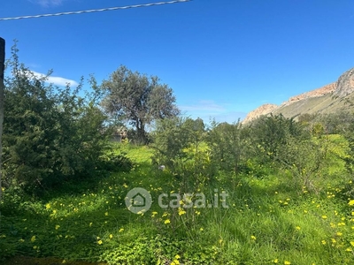 Terreno agricolo in Vendita in Zucco a Terrasini