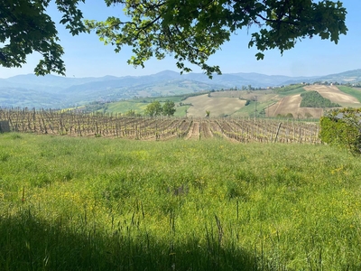 Terreno Edificabile in vendita a Borgonovo Val Tidone