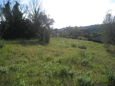 Terreno Edificabile Residenziale in vendita a Montefiascone - Zona: Carpine