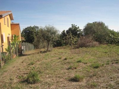 Terreno Edificabile Residenziale in vendita a Montefiascone - Zona: Zepponami