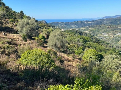 Terreno Edificabile Residenziale in vendita a Vallebona