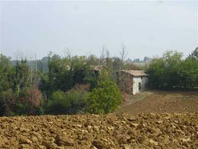 Tenuta-Complesso da ristrutturare a Castelvetro di Modena