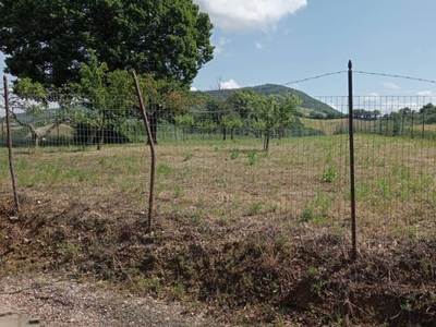 terreno agricolo in vendita a San donato