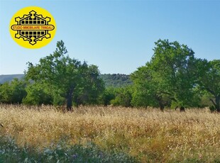 Avola VENDESI TERRENO AGRICOLO