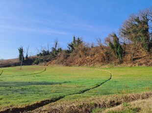 Pesaro - ZONA CERRETO VENDESI TERRENO AGRICOLO