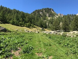 Rustico con giardino a Varzo