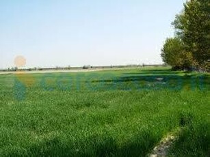 Terreno agricolo in vendita a Castel D'Ario