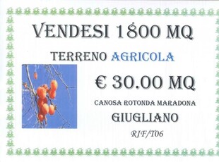 terreno agricolo in vendita a Giugliano in Campania