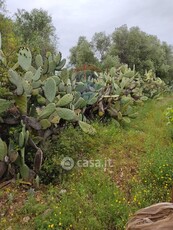 Terreno agricolo in Vendita in a Bari