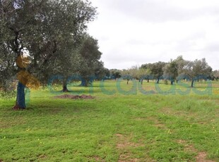 Terreno agricolo in vendita in Contrada Colombo Sn, Carovigno