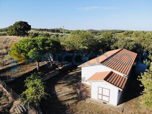 Terreno agricolo in vendita in Poggio Alla Mozza, Grosseto