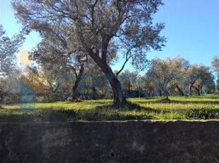 Terreno agricolo in vendita in Via Piani Puglietta, Campagna