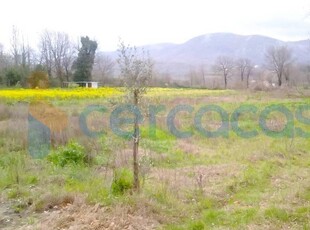 Terreno agricolo in vendita in Via Trado, Caiazzo