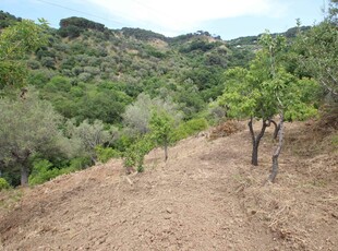 Vendita Terreno agricolo, CEFALU'