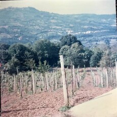 Vendita Terreno agricolo, MANOCALZATI