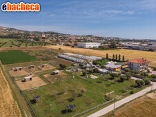 Azienda Agricola a..