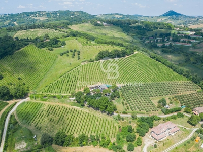 Azienda Agricola in vendita a Cesena - Zona: San Vittore