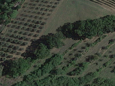 Terreno Agricolo in vendita, San Miniato borghigiana