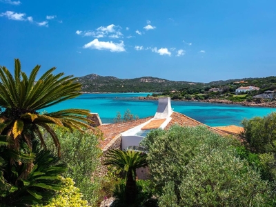 Esclusiva villa di 319 mq in affitto Piccolo Pevero - Porto Cervo, Arzachena, Sardegna