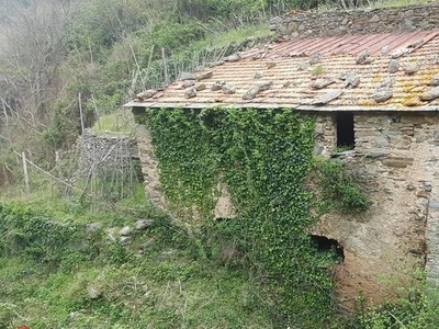 rustico / casale in vendita a Riomaggiore