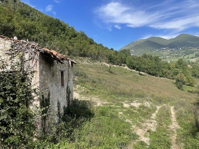 rustico / casale in vendita a Sant'Anatolia di Narco