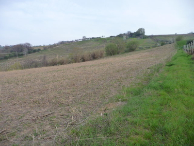 terreno agricolo in vendita a Acquaviva Picena