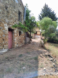 terreno agricolo in vendita a Castel San Lorenzo