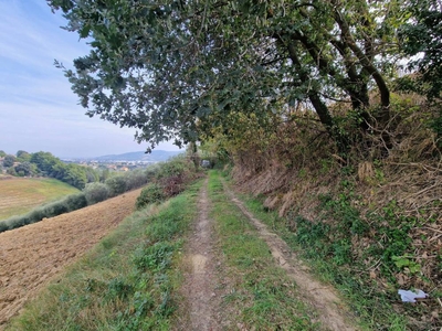 terreno agricolo in vendita a Monsampolo del Tronto