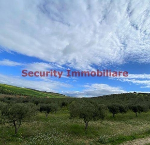 terreno agricolo in vendita a Sciacca