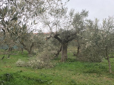 terreno residenziale in vendita a Canosa di Puglia