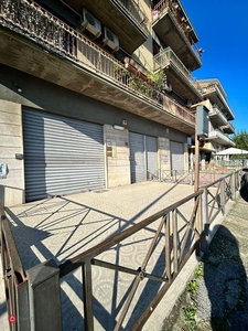 Negozio/Locale commerciale in Vendita in Via Borghesiana 378 a Roma