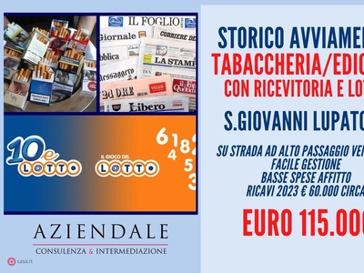 Negozio/Locale commerciale in Vendita in Via MADONNINA a San Giovanni Lupatoto