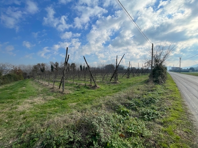 Terreno agricolo in vendita a Castel Di Sasso