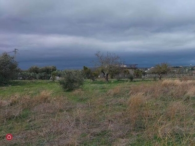 Terreno agricolo in Vendita in a Motta Sant'Anastasia