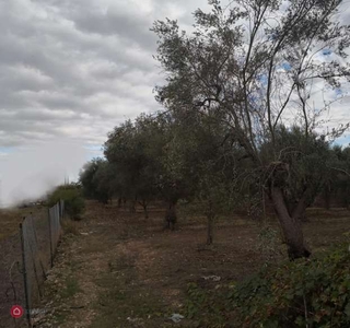 Terreno agricolo in Vendita in Strada Provinciale 83 a Acquaviva delle Fonti